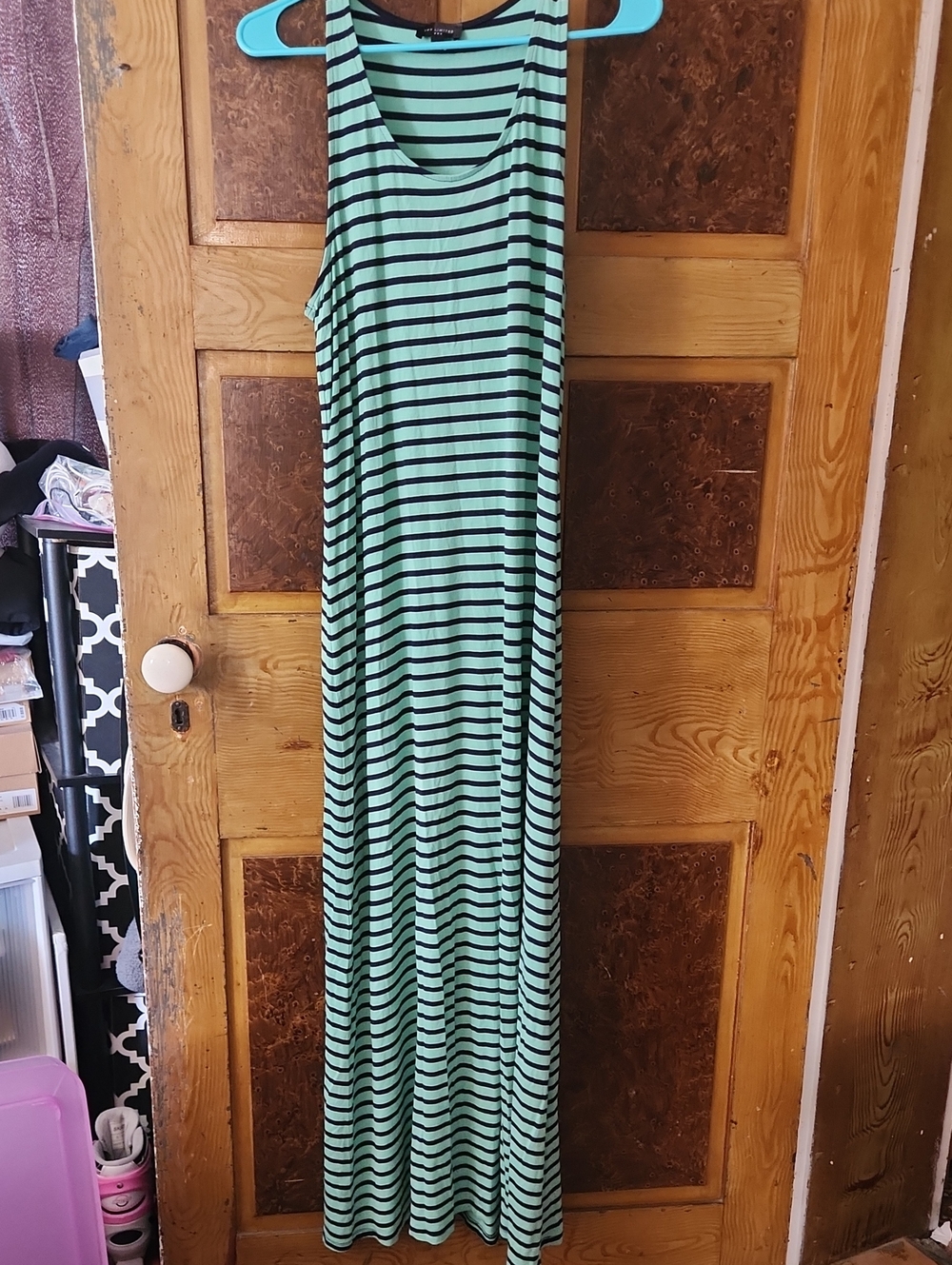 The Limited Mint Green and Black Striped Maxi Dress